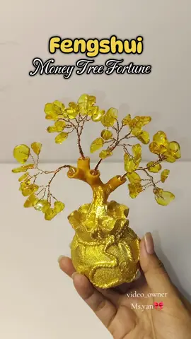 Fengshui Citrine Money Tree Jade 💐  #moneytree #display #fengshui #citrine #fortunetree #fyp #recos 