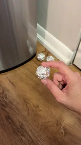 Spread tiny balls around the house and eliminate cockroaches, ants, and mosquitoes forever! 🪳🦟 #pestcontrol #lifehacks #homehacks
