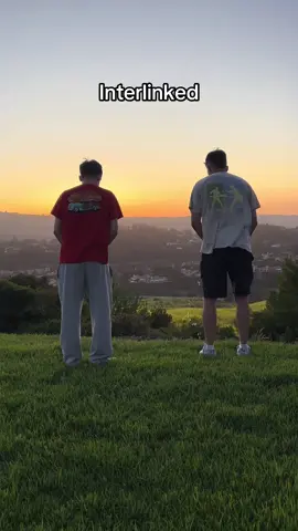 #interlinked