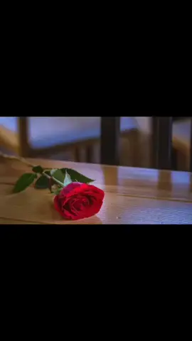 #في هذا اليوم 