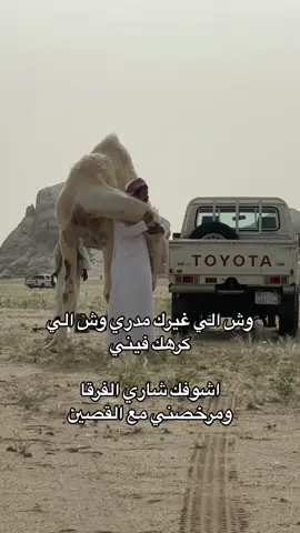 #اككسسسسسسسبلور #كومنتتتتتتتتتتتتتتتتت 