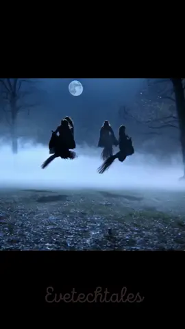 🌫️🧹 They rise not with thunder, but with rhythm — a flock of witches cutting through the dusk like arrows cloaked in silence. In European folklore, it was believed that entire covens could fly together across great distances, led by the oldest among them. Their destination? Sacred clearings, storm-split cliffs, or mountaintops where the veil between worlds thinned. Each broom carried more than a body — it carried a story, a purpose, a vow. 💬 Drop a 🌒 if you'd dare follow their flight into the unknown. #EveTechTales #WitchesInFlight #CovenInTheSky #RidingTheWind #NightTravelers #BroomstickLegends #FolkloreInMotion #Aquelarre #SkyboundMagic #DarkSisterhood 🌫️🧹 No se elevan con truenos, sino con ritmo — una bandada de brujas que atraviesa el crepúsculo como flechas envueltas en silencio. En el folclore europeo, se creía que los aquelarres volaban juntos por largas distancias, guiados por la más anciana. ¿El destino? Claros sagrados, riscos partidos por tormentas o cumbres donde el velo entre mundos era más delgado. Cada escoba llevaba más que un cuerpo: llevaba una historia, un propósito, un pacto. 💬 Comenta un 🌒 si te atreverías a seguir su vuelo hacia lo desconocido. #HailuoAI #BrujasEnVuelo #AquelarreAéreo #ViajerasDelViento #LeyendasDelCielo #EscobasMágicas #VueloNocturno #MagiaEntreMundos #FolcloreOscuro #HermandadDeSombras