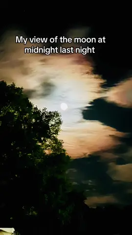 #terrenhuntgwynn #tracygwynn #danvilleva #moon #fullmoon #nightsk #Love #luna 