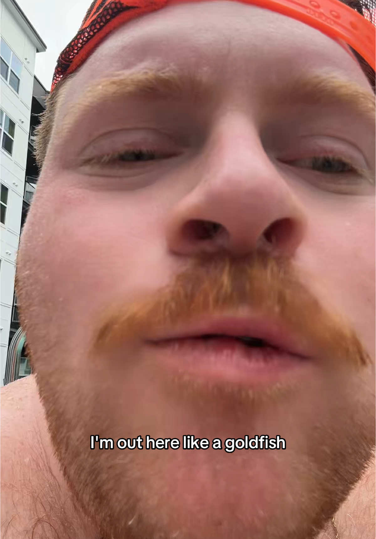 Day drinking is scary… #foryoupage #fyp #foryou #fypage #trendingvideo #viral #4u #foryoupageofficiall #fy #fypシ 