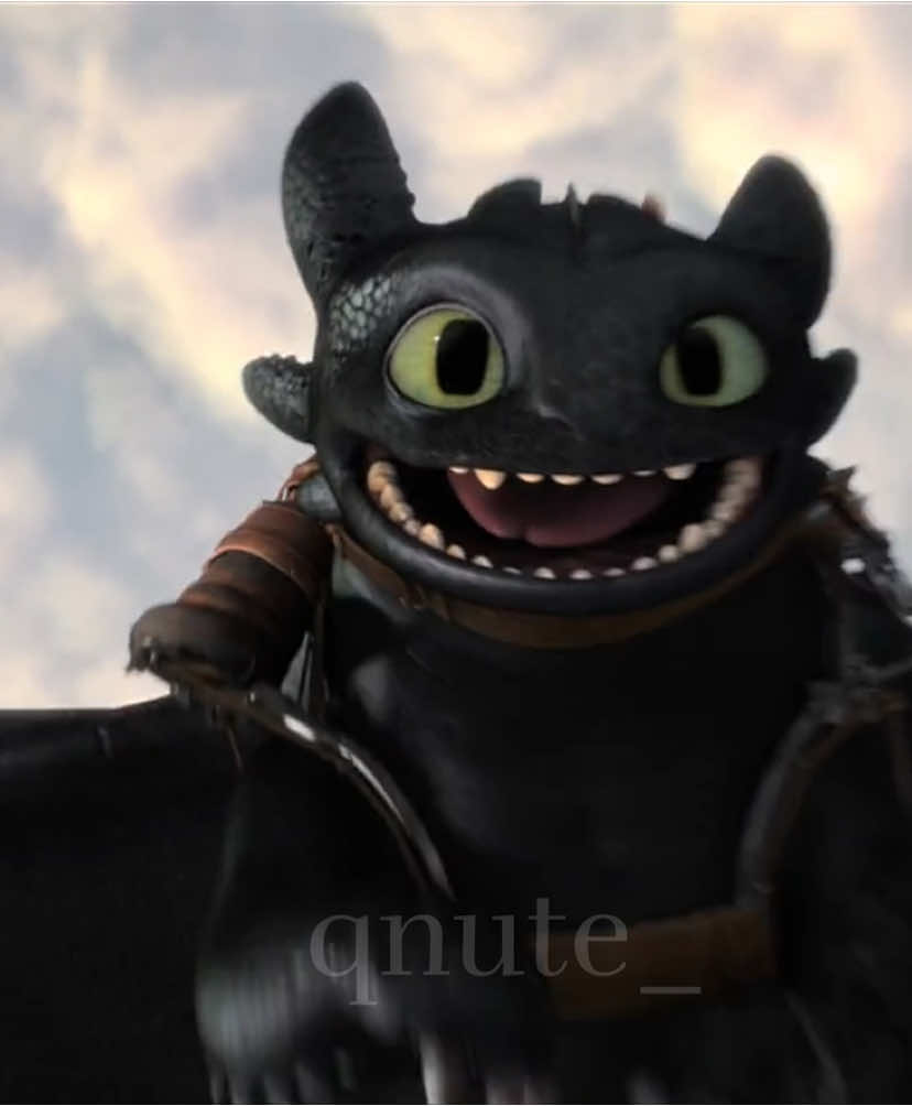 || Best animated films imo || #hiccup #toothless #httyd #HTTYD #fyp #viral #blowup #foryoupage❤️❤️ #howtotrainyourdragon #video #stoick 