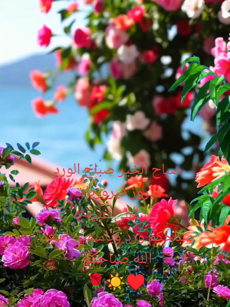 صباح الخير صباح الورد صباحكم ورد وياسمين فيروز فيروزيات سلملي عليه  #صباح_الخير  #صباح_الورد  #صباحكم_أحلى_صباح  #اسعد_الله_جميع_اوقاتكم🌹🌹  #فيروز #فيروزيات  #ورد #سلملي_عليه  #اكسبلور  #فيرال  #your_coffee  🙂🤩🎶🫵💋💐🌹☀️♥️☕🙏☺️😍🥰😘🌷😊🌸😚🥰😍🤩
