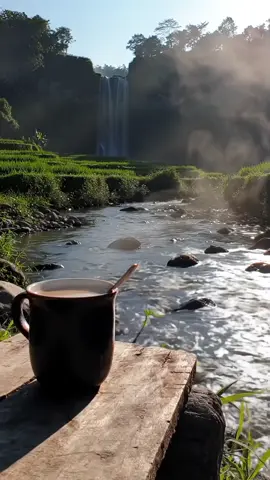 Cukup secangkir kopi susu sebagai penyemangat pagi #natural #nature #sunda #sundapride #jawabarat 