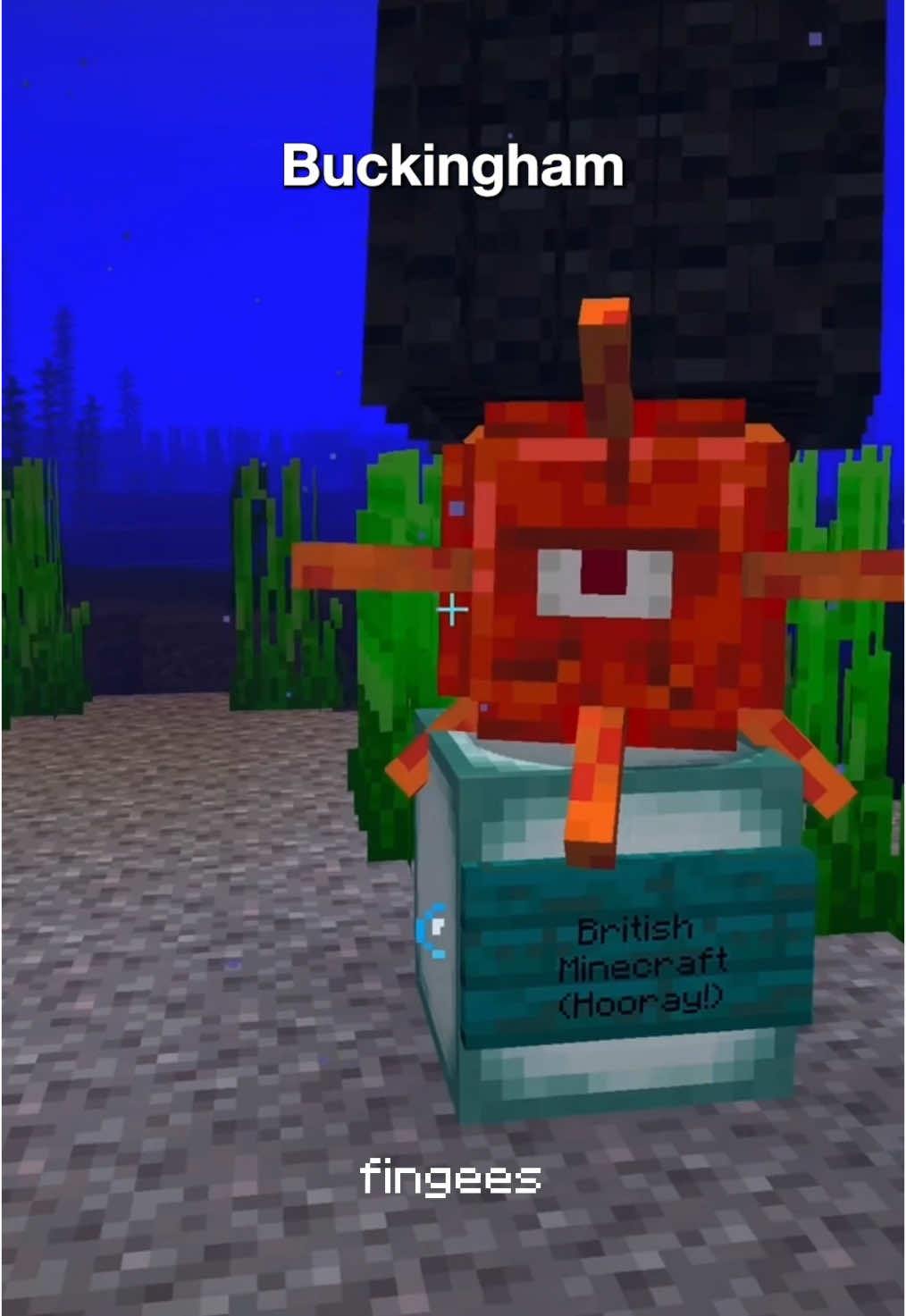 I made #Minecraft British #cursedminecraft #minecraftmemes 