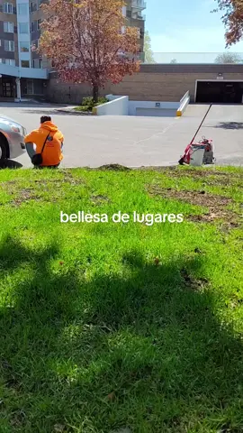 #viral_video  sin envidia#fyp 