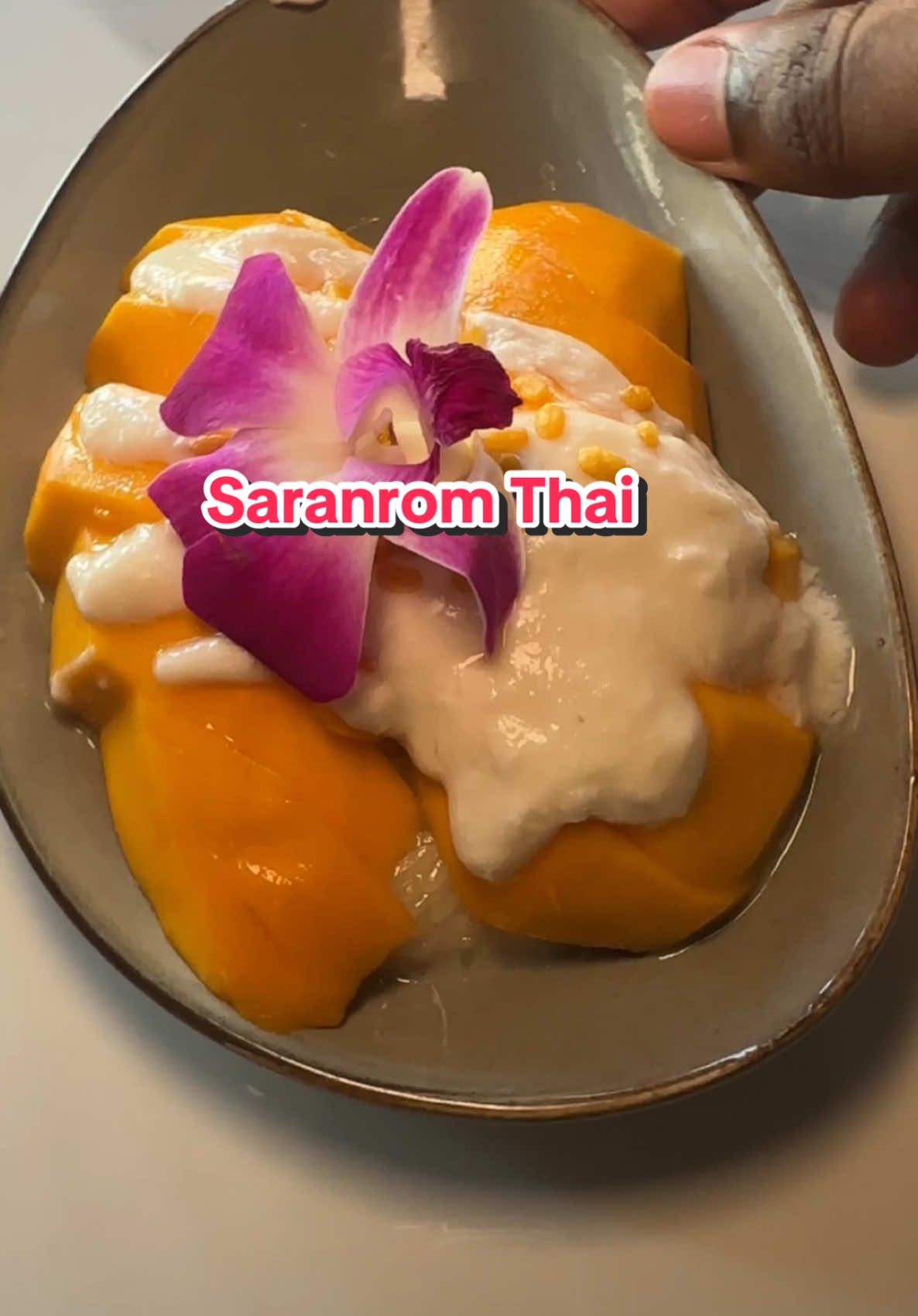 Trying The Best Thai Restaurant In Queens NY, Which Is Michelin Approved Saranrom Thai Food Review  Order: Beef Drunken Noodles Duck Pineapple Thai Curry Thai Iced Tea Mango Sticky Rice Dried Catfish Mango Salad Total $75 #thaifood #nycfood #thairestaurant #nycrestaurantreviews #nyceats #thaifoodlover #queensny #tastetest #nycfoodie #foodcritic #nycrestaurants #foodreview 