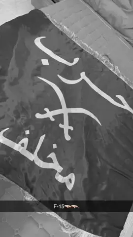 لاد الخشيمي😎☝🏼#حرب_اهل_الثلااث_المعجزات #حربي_ابن_العاشر🔥🧿 #مخلف #اكسبلور 