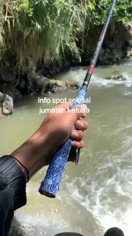 Jumat berkah iki boll😋🤙🏻 #gipongmancing #mancing #storymancing #mancingliar #hobimancing #masukberanda #fypmancing #4you #fyp #fypage #xybcafyp 