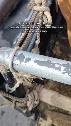 mobilnya yang ada gambar semut bawa sapi yah jon🤣