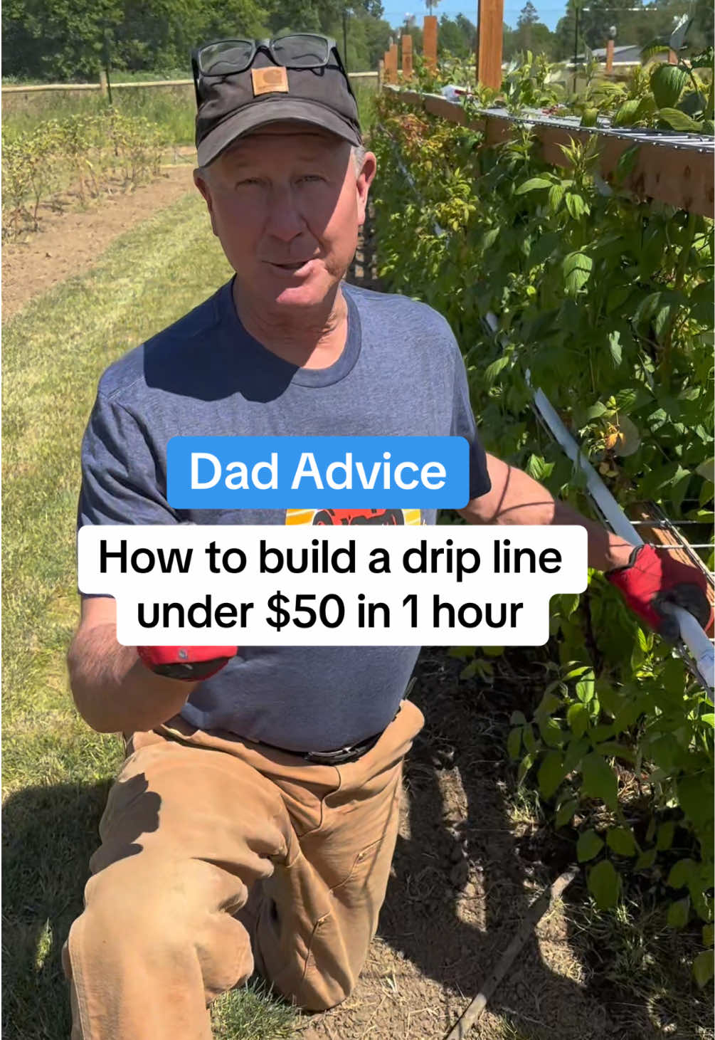 First of many Holiday Weekend projects for you. I specifically did this because store bought soaker hoses are very sensitive and rip a lot, but my wife says berries need this kind of watering. Try it out and let me know what you think. Love, Dad