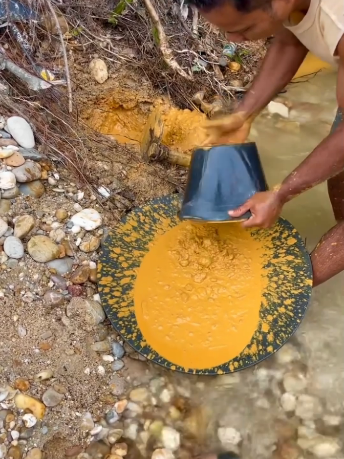 Looking for gold and panning for gold buried in river walls #golddiscovery #mininggold #goldpanning #goldhunter #viralvodeo #foryou #foryoupage 