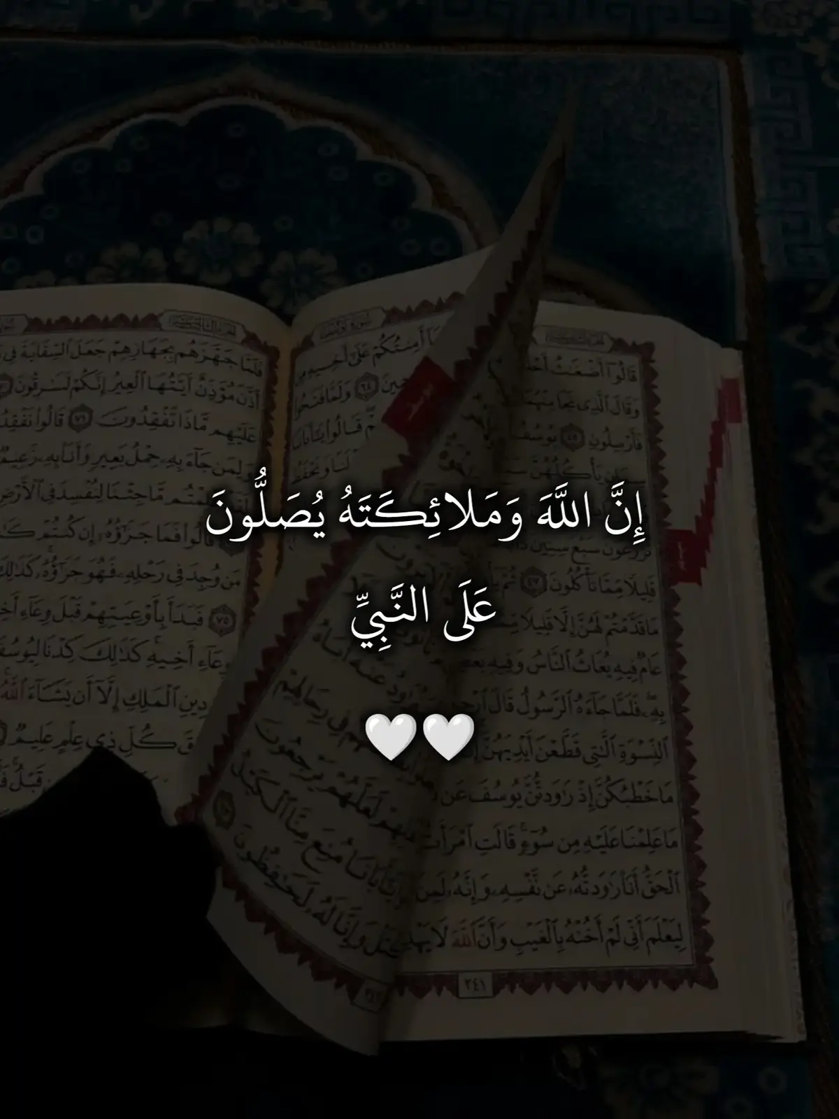 سورة الأحزاب 🤍  #اجر_لي_ولكم #قران #قران_كريم 