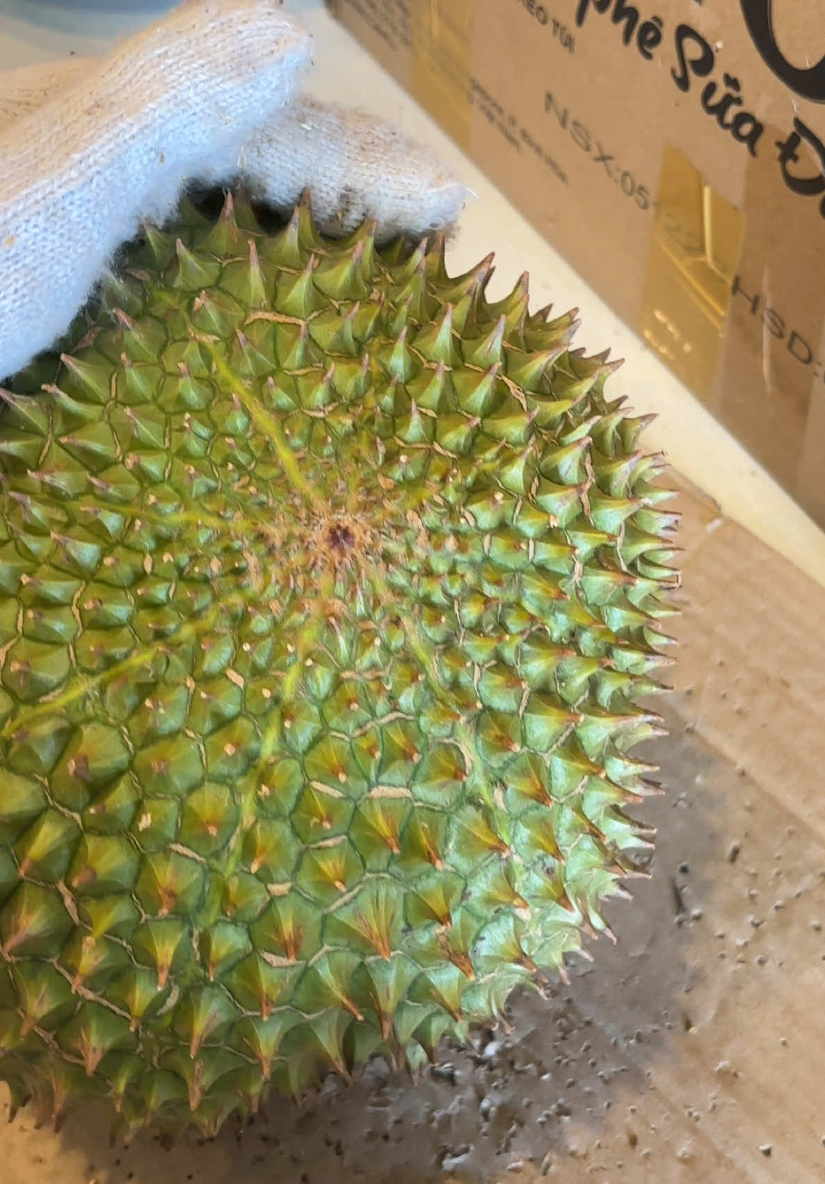 Trái đẹp chưa chắc đã ngon. Trái sầu 8 múi #saurieng #saurienglongkhanh #nhiemtu #sendalongkhanh 