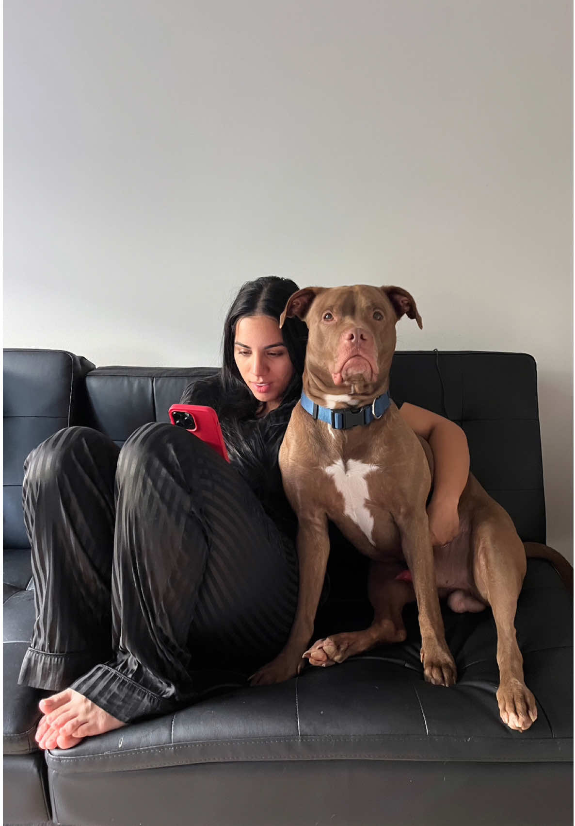 Living with dogs means never being alone… ever. Not even for 5 seconds 😂😂 #fyp #foryou 