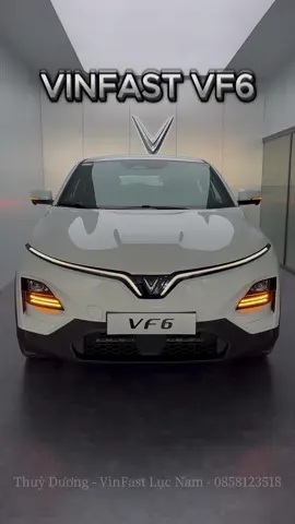 VF6 PLUS mẫu xe gia đình tốt nhất thời điểm hiện tại...!!               #vf6plus #vinfast #bắcgiang #lụcnam #xedien #xuhuong 