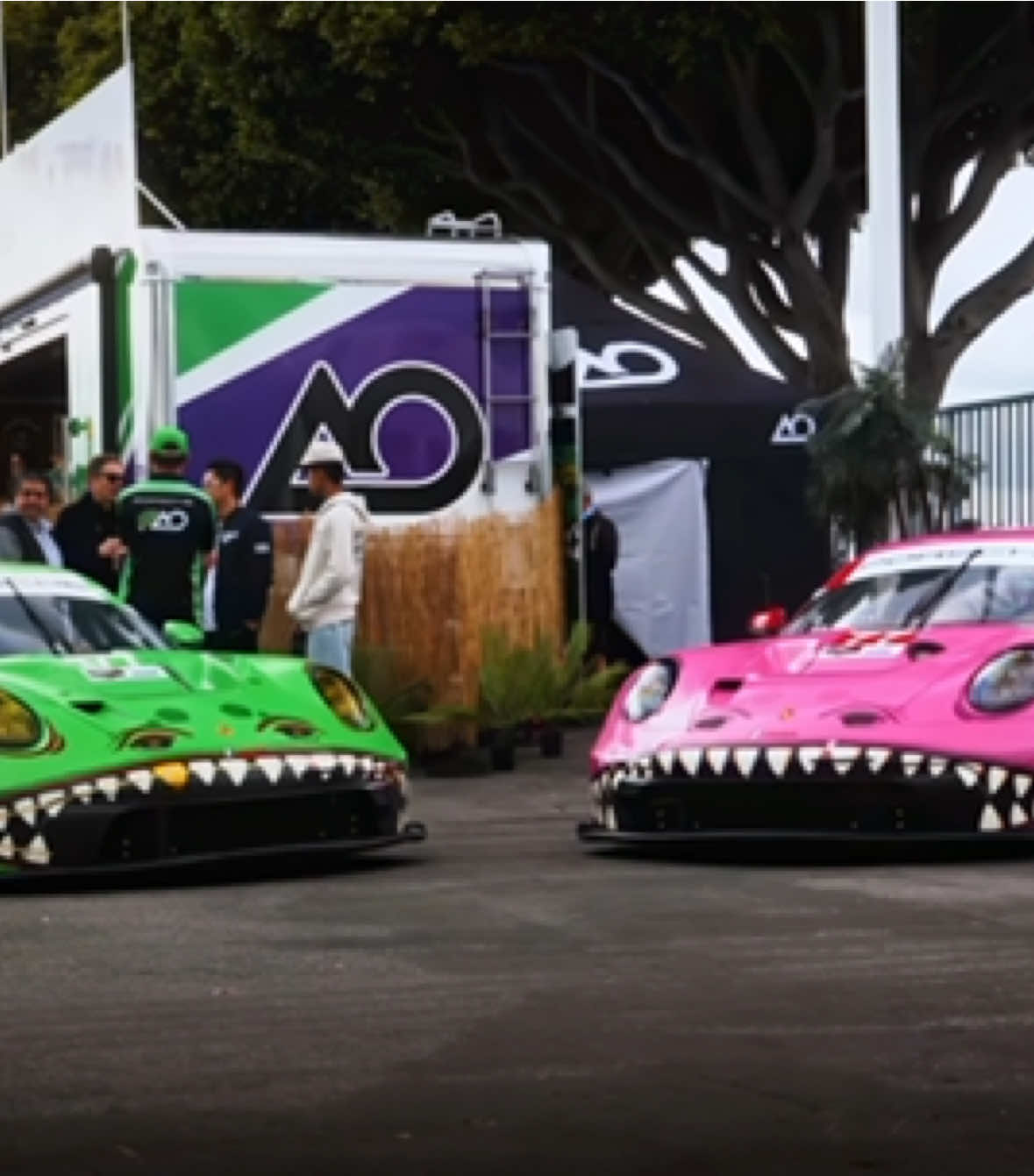 Rexy and Roxy 🦖🥰 . . . . . . . #aoracing #imsa #gt3r #gt3 #gt3rs #porschegt3 #porschegt3rs #992 #porsche911 #porsche992 #911gt3rs #cars #supercars #supercar #hypercars #hypercar #racecars #racecars #sportscars #sportscar 