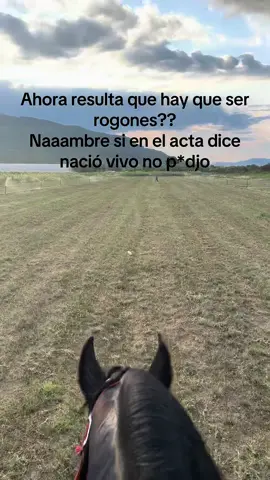 #caballos #horse #contenido #fyp 