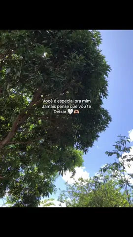 #amor #amoreterno #dedicar #Love #fy #frases #foryou #mensagensdeamor #❤️❤️❤️❤️❤️❤️❤️❤️❤️❤️ 