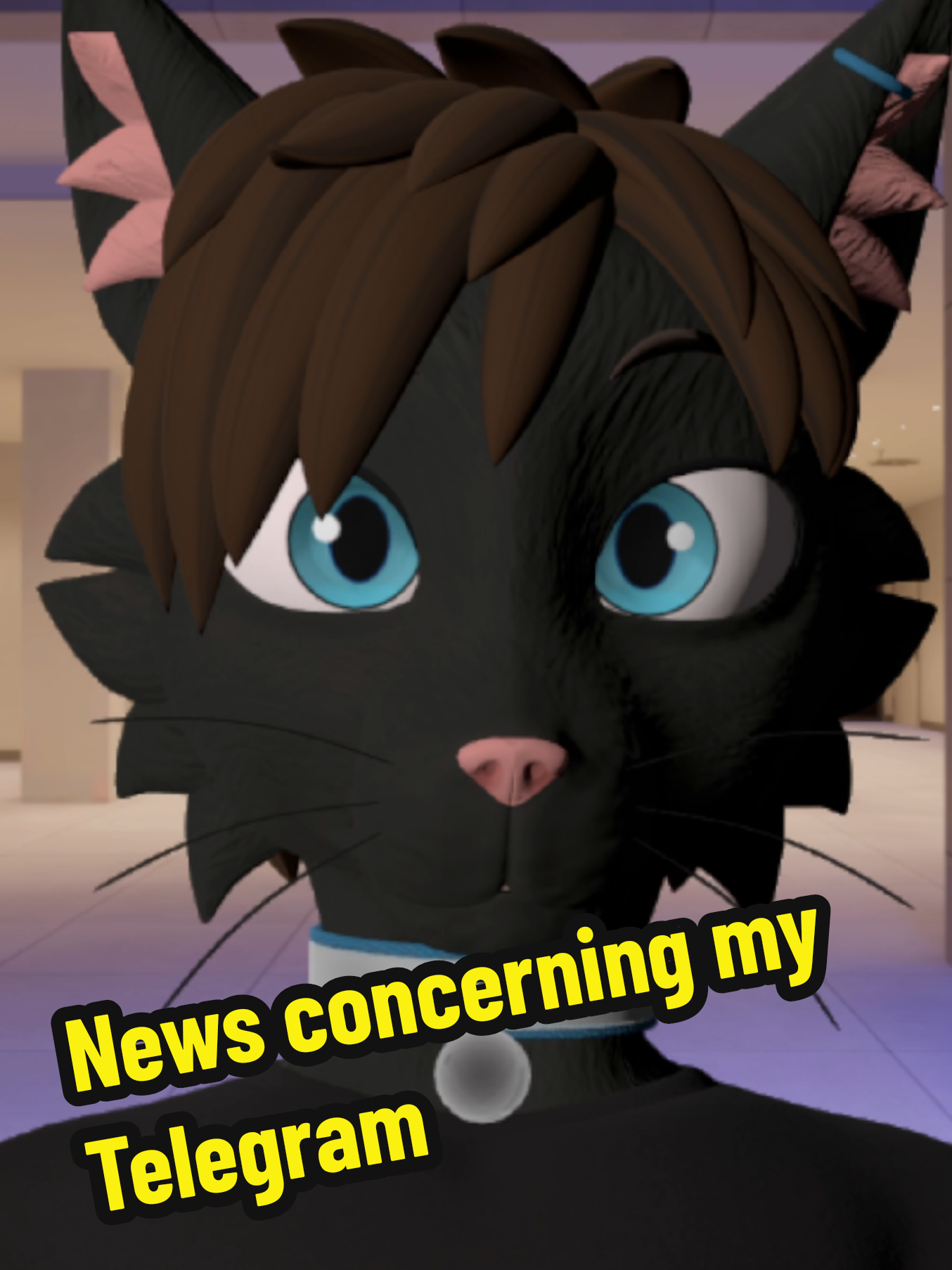 Just a heads-up, mostly to followers and anyone looking for my account, not on Telegram right now.