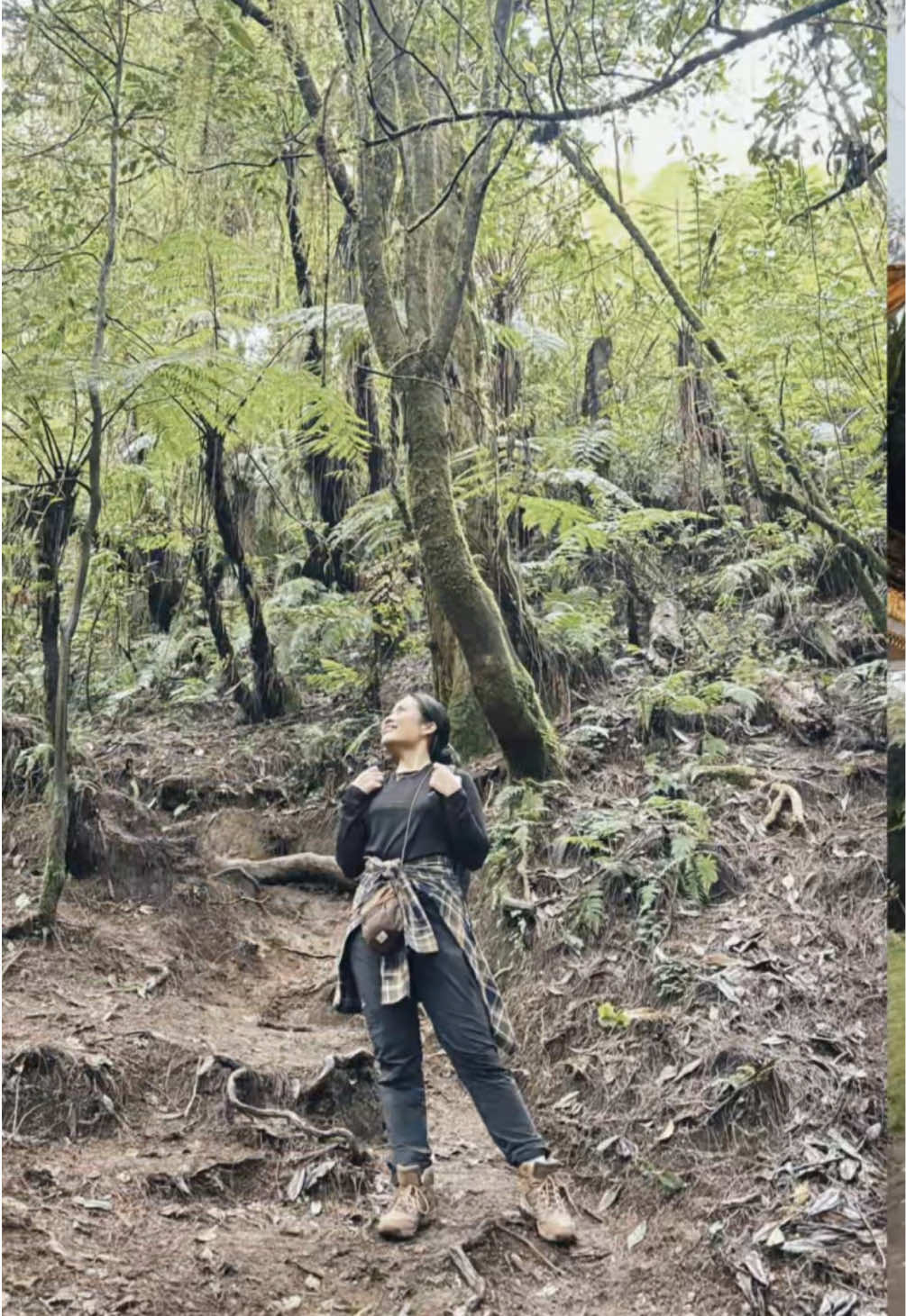 🤪🫵💚 #fyp #fypシ゚ #fypage #CapCut #capcut #jjcapcut #Hiking #fomo #nature #mountain #mountains #pendaki #pendakigunung #bali #gunungcatur #2096mdpl #puncakmangu 