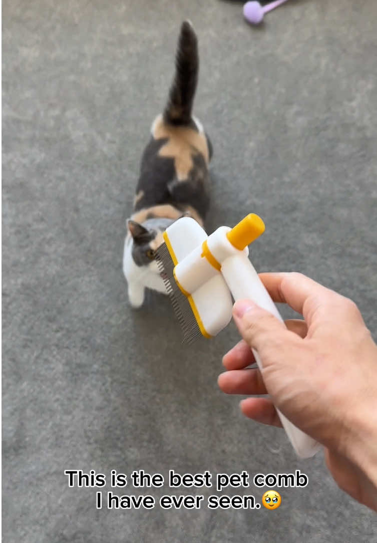 I bet you’ve never seen this before!🫨🫨🫨#pethairremoval #petproducts #pethair #pethairremover #tiktokmademebuyit #petcomb #pet #fyp 
