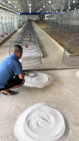 Vệ sinh như này được chưa ae 🥰🥰🥰#cogangmoingay💪 @Dự bảo lộc 