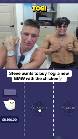 Steve and Togi are the best duo #clips #togi #crossyroad 