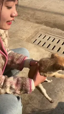 #fun #cute #animals 