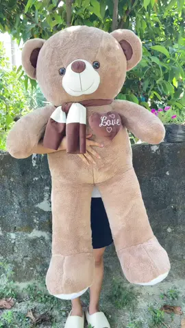 Gấu bông teddy to 1m2 đáng yêu #gauteddy #gaubongto #gauKhongLo #gauBongDep 