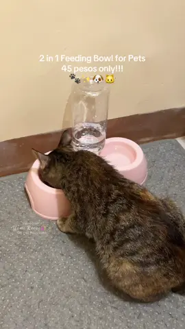 #2in1feedingbowl  #feedingbowl 