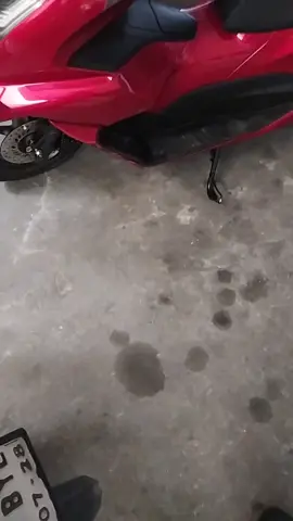 nasib🥹🥀 #pcx160indonesia #pcxstandart #kecelakaan  #soundnangis 