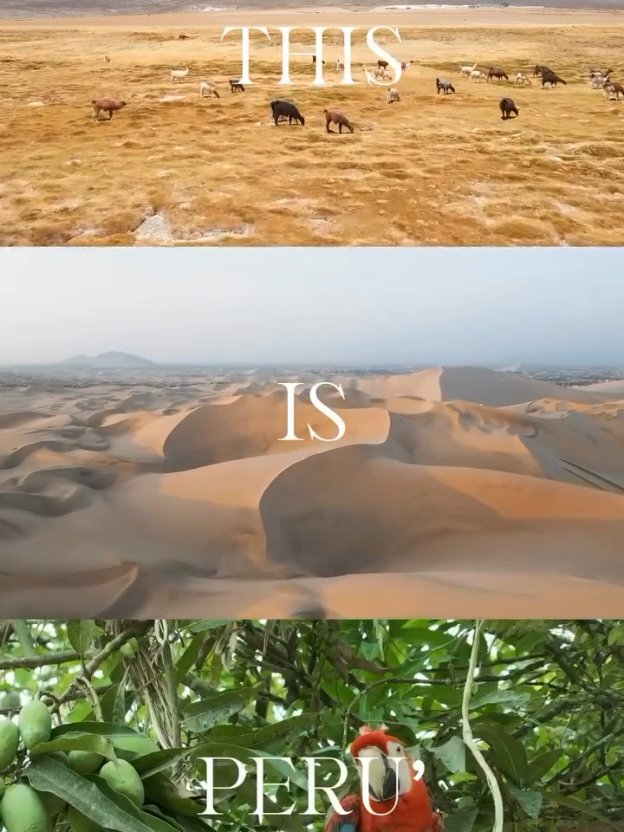 This is Peru, a country with a huge variety of cultures, landscapes and food. Explore it with Natventure Expeditions. • • #travel #peru🇵🇪 #adventure #journey #trip #natventurexpeditions #fyp #traveler #explorer #destinationwithpurpose 