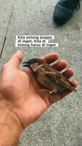 #CapCut #kata #katakata #katakatamotivasi #motivasi #motivasihidup #motivasidiri #fyp #katabijak 