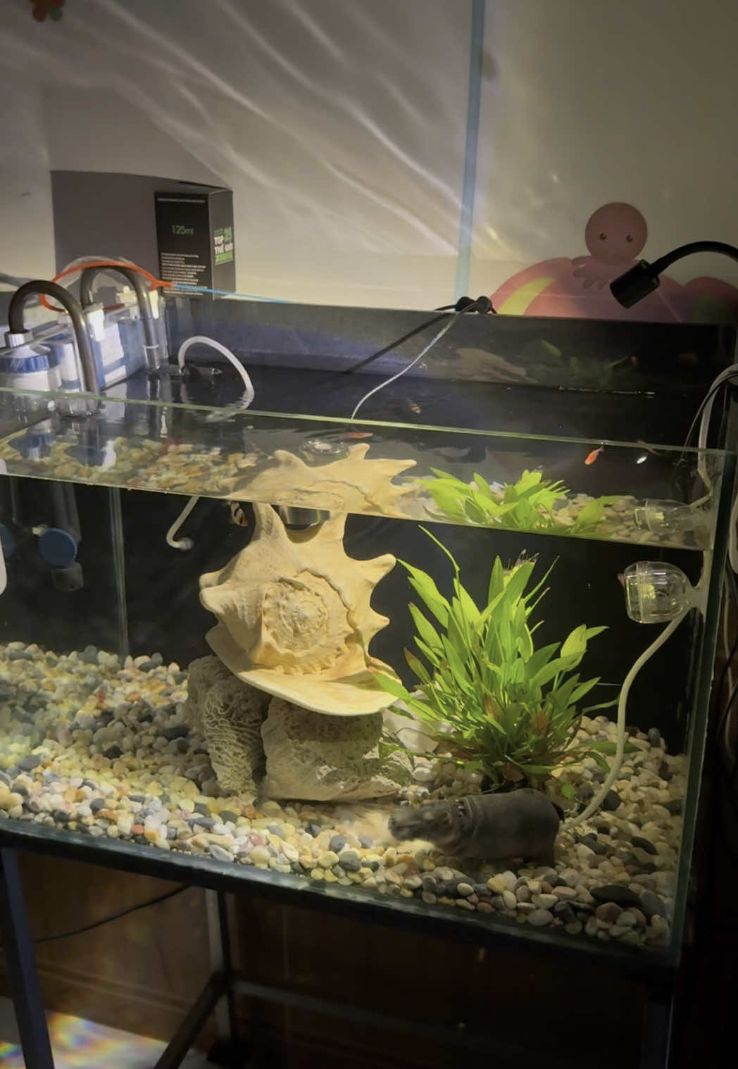 Đèn led rọi mini siêu sáng