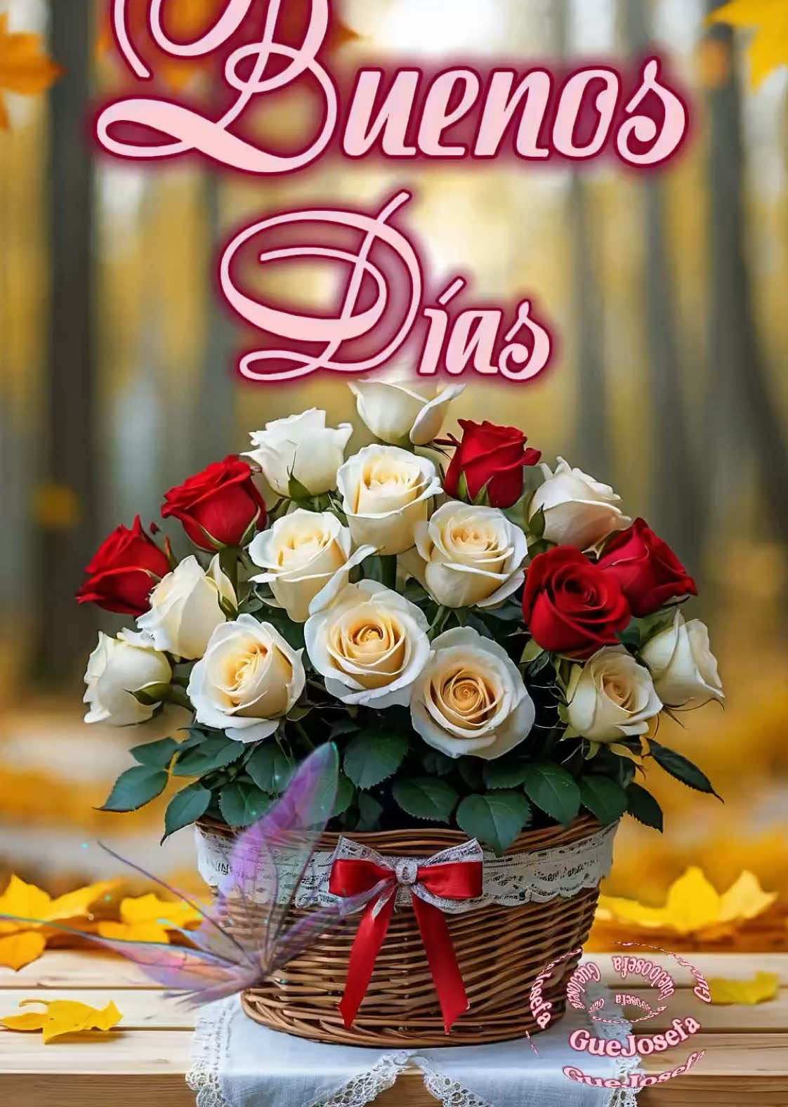 #OraciónDeHoy #DiosEsMiRefugio #BajoTuGracia #NuevoAmanecerConDios🙏🏼📖🕊️