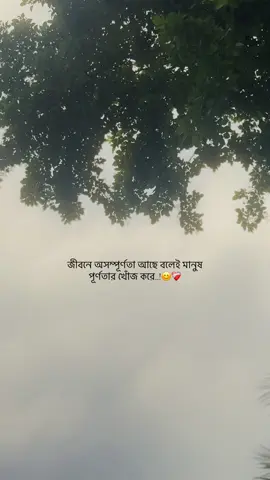 জীবনে অসম্পূর্ণতা আছে বলেই মানুষ পূর্ণতার খোঁজ করে..!😊❤️‍🩹#vairalmypege #vrial_video #myvideoviral #vrial_video #videoviral #vairalmypege #myvideoviral #foryoupage #vrial_video #vrial_video #vrial_video #videoviral #videoviral #vrial_video #myvideoviral #myvideoviral #foryoupage #vrial_video #vrial_video #vrial_video #vairalmypege ##myvideoviral #vrial_video 