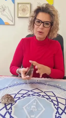 🔮💜 Tu Cartomante Favorita ✨️ Todo se te hará realidad, CONFÍA 🙏 #tarot #cartomante #tarotresponde #lecturadecarta #lecturadetarot #tarotespañol 