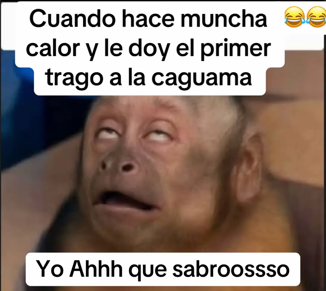 #cuando hace muncha #calor y le doy el #primer trago a la #caguama yo #ahhh que #sabroossso jajaj