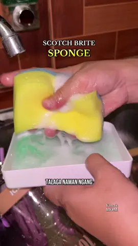 @Scotch-Brite #scothbrite #scothbritesponge #sponge #spongefordishwashing #dishwashingsponge 