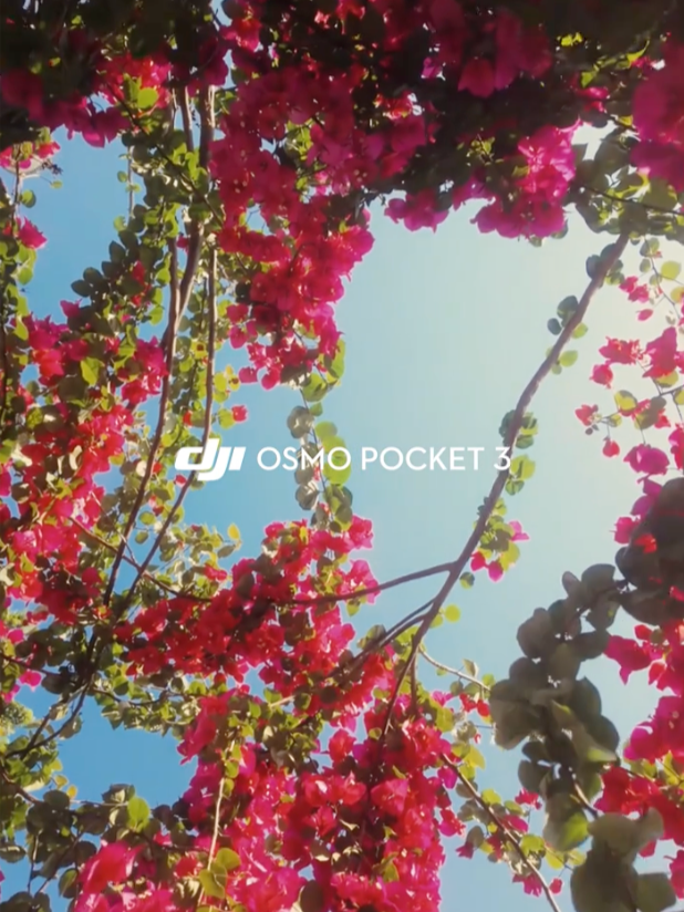 Embrace the beauty of nature with Osmo Pocket 3! 🌸✨ Capture vibrant colors and stunning details effortlessly. Every moment is worth preserving. 📸☀️ #OsmoPocket3 #djiosmo #naturelovers #photography