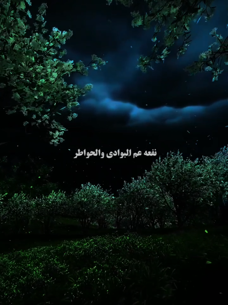 #لايزال_الخير_حيا #إن_في_الدنيا_سلاماواضلال #arabicsong #arabicnasheed #viralvideos #foryoupagе 