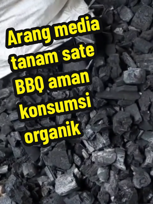 arang kayu batok media tanam BBQ sate organik super satu karung kiloan murah