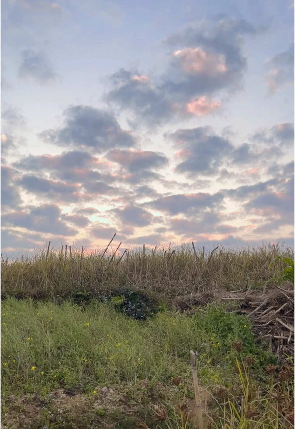 The place where beauty of nature hits soul sepretely😇 #irkhu #sindupalchok #sangachok #nature #sunset #wowview #sujanchapagain #fypシ゚ #explore #oonkosweater #nature #1millionview #unfrezzmyaccount #unfreezemyaccoun😭😭😭💔💔💔 