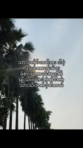 ဒါကိုဘယ်သူမှမသိဘူး#fpy_tiktok_viral #fpy_tiktok #viral #fyp 