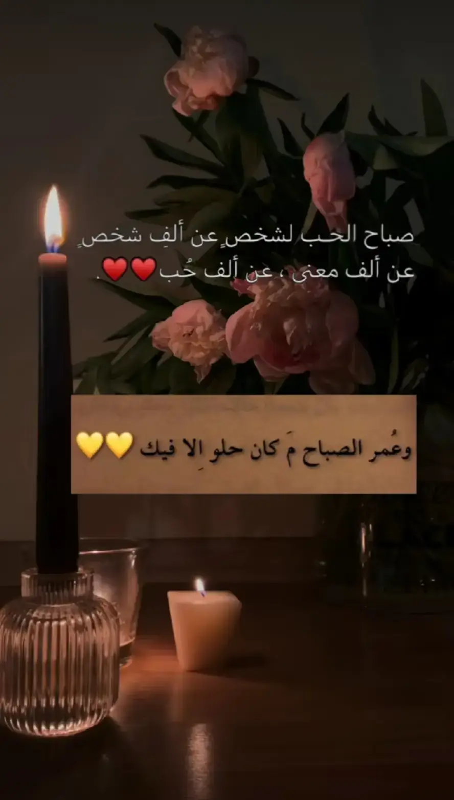 ❤️❤️❤️❤️❤️❤️