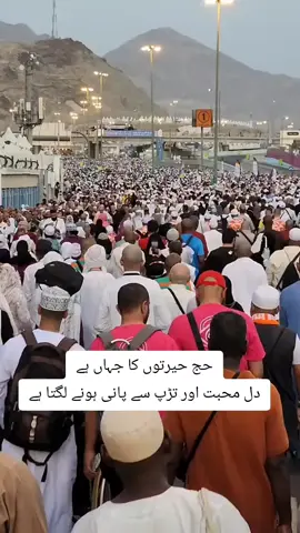 Hajj Session 2025 #hajjsesson #hajj_trending #hajj2025update #hajj1446 #hajj2025 #LiveHajj #مكه_الان #live #منى #hajj #makkah313 #عرب_تيك_توك #trendingreelsvideo #fyp 